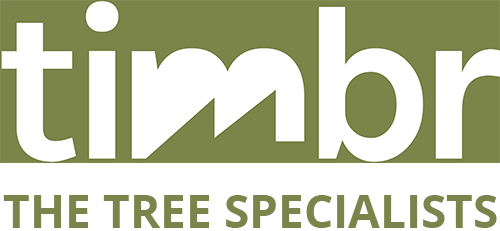 Timbr Logo